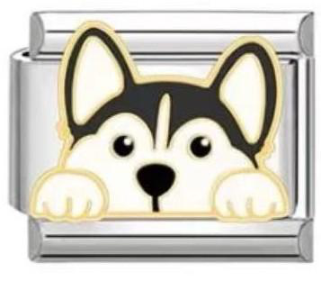 Husky Dog Italian Charm Silver