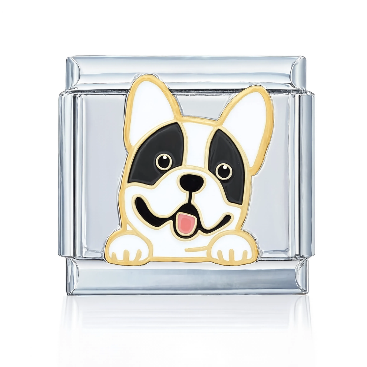 Boston Terrier