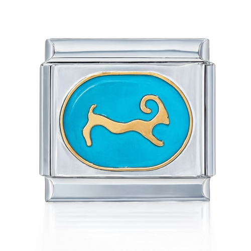 Capricorn