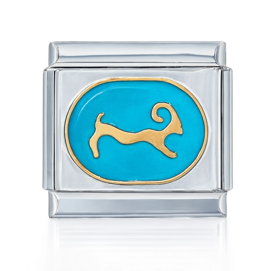 Capricorn