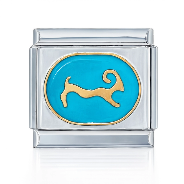 Capricorn