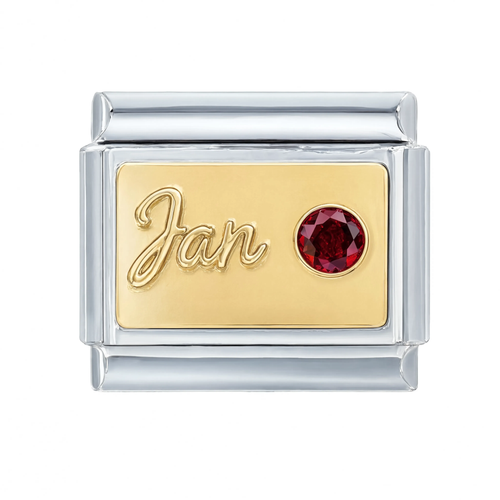 Jan Birthstone
