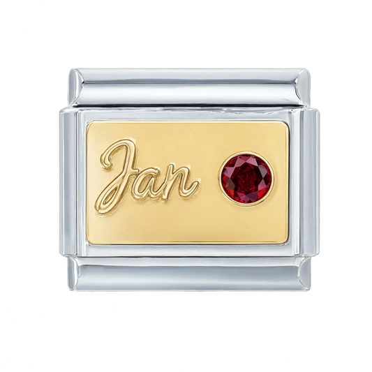 Jan Birthstone