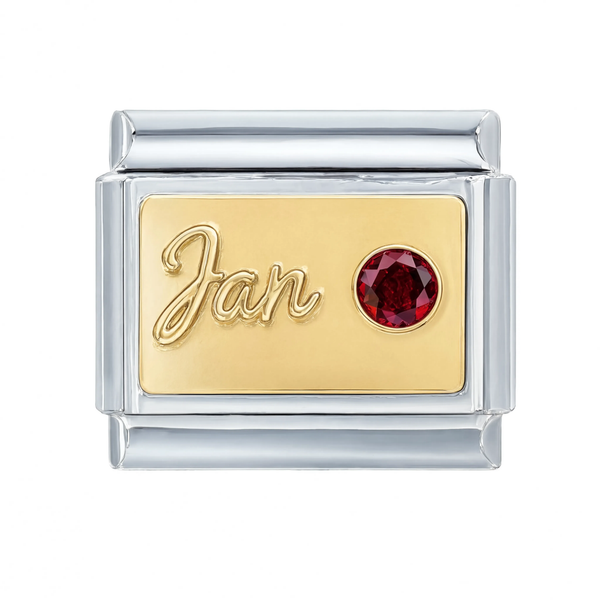 Jan Birthstone