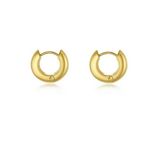 Curved Drop Earring