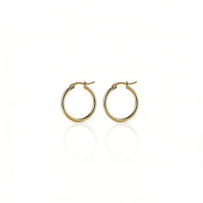 Curved Bar Earring