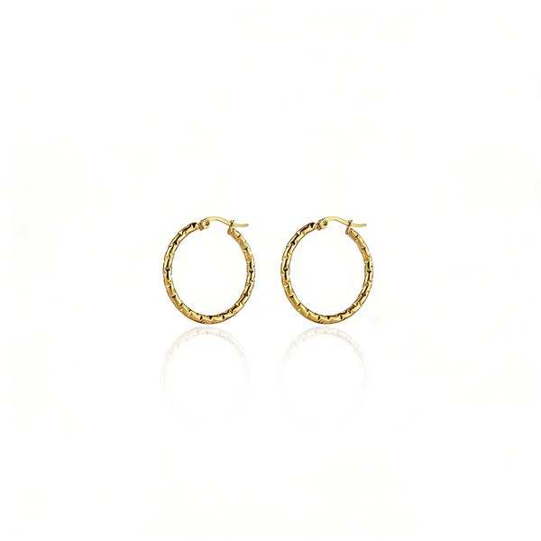 Nova Link Earrings