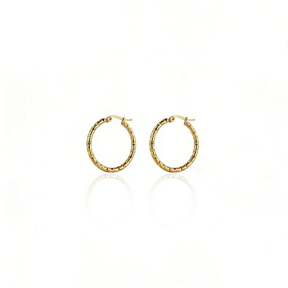 Nova Link Earrings