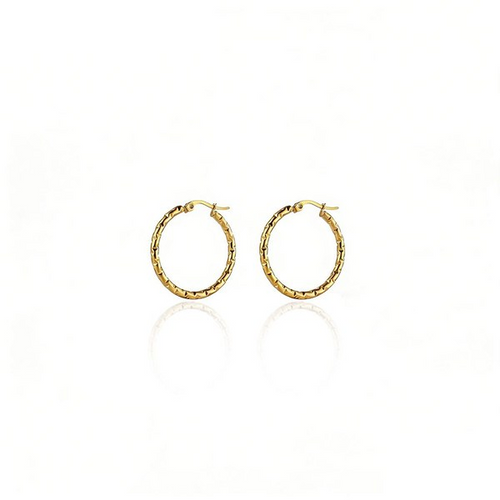 Nova Link Earrings