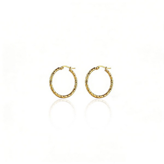 Nova Link Earrings