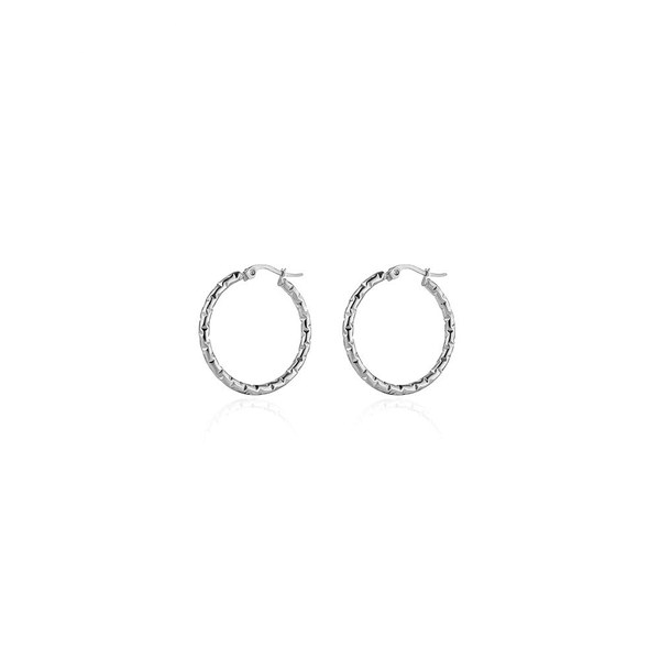 Nova Link Earrings