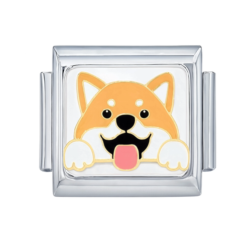 Shiba Peeking