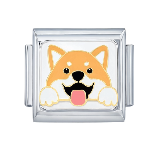 Shiba Peeking