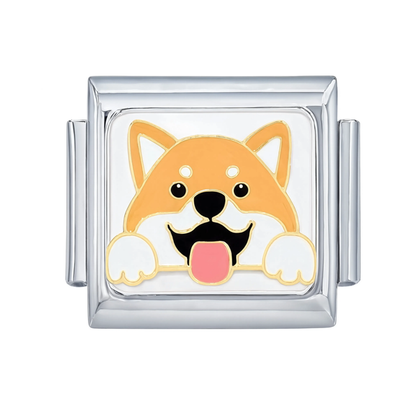 Shiba Peeking